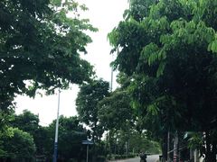 -广州市石门国家森林公园