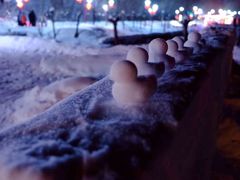 -北极村旅游风景区