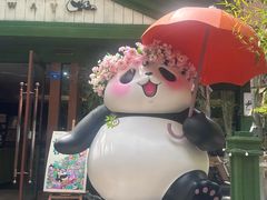 -轩客会(熊猫书店)