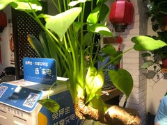 -茶花妹子云南餐厅(北大店)