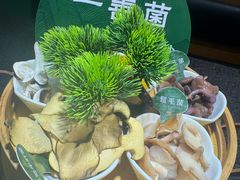 -一善菌·云南菌汤·云南菜(银泰城店)