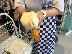 -怪兽屋·羊驼·猫咖·狗咖(俊华广场店)