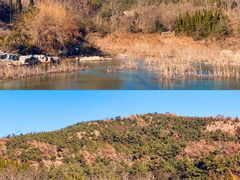-威海大乳山景区