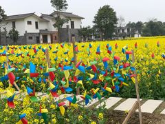 -桤木河湿地公园