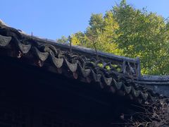 -上海醉白池公园