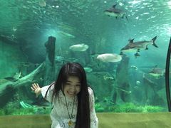 -福州罗源湾海洋世界旅游区