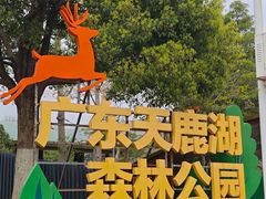 -天鹿湖森林公园