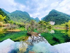 -靖西鹅泉风景区