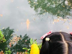 -杭州西子湖四季酒店-WL BISTRO西湖餐厅(灵隐路店)