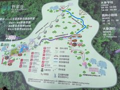 -野象谷景区