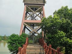 -中国扬子鳄村