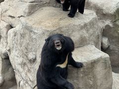 -石家庄市动物园