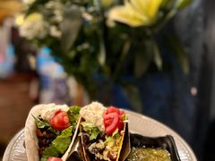 辣白菜塔克-萨尔瓦多Salvador's