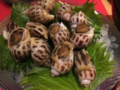 -松涛日本料理