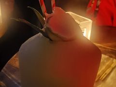 -TZ House音乐现场(茅台店)