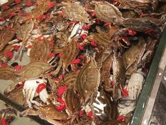 -一方渔歌蒸汽海鲜自助(文化路万达广场店)