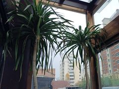 -箪食巷私房菜馆·鲁菜(玉函路店)