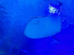 -太平洋海底世界