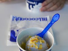 -蔻蔻椰·鲜萃椰子水(COCO Park店)