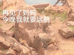 -昆明动物园