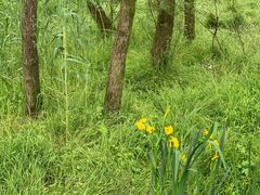 -西湖风景区-江洋畈生态公园