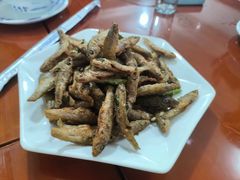 -品雅轩农家乐