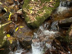 -五女峰国家森林公园