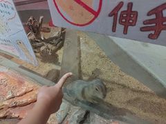 -正佳雨林生态植物园