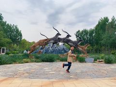 -武清南湖绿博园