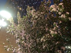 -天津水游城丽筠酒店