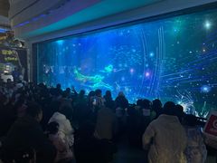 -海合安成都极地海洋公园