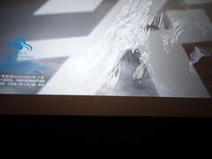 -华谊兄弟影院(IMAX洋桥店)