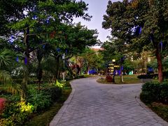 -惠州金海湾嘉华度假酒店