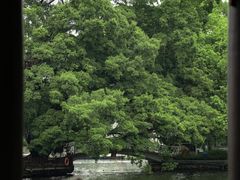 -荔湾湖公园