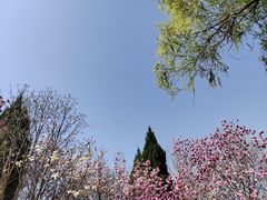 -石家庄市植物园