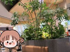 -gaga(深圳福田星河COCO Park店)