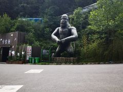 -栾川竹海野生动物园