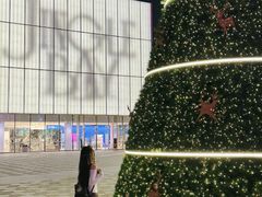 -深圳湾万象城(南山店)