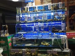 水产区-香满居张记小厨私房菜(青岛站店)