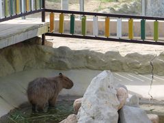 -西霞口神雕山野生动物世界