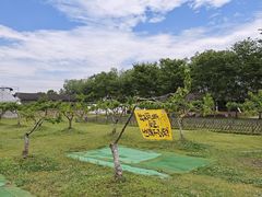 -乌村