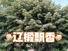 -大连植物园