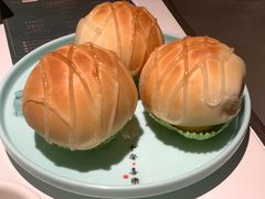 -新兴·金羊座·粤菜点心(乐峰店)