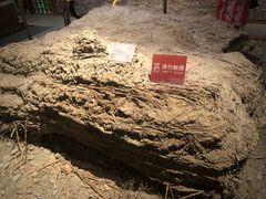 -敦煌市博物馆