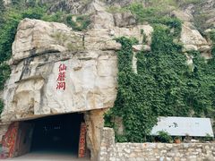 -仙蘑洞