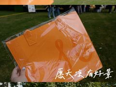 -陆家嘴中心绿地