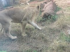 -昆明动物园