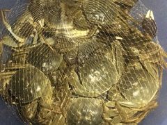 -静之湖湖畔餐厅