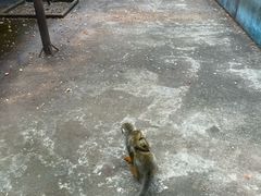 -秦皇岛野生动物园