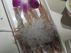 -曲氏老北京铜锅涮肉•火锅(不老街店)